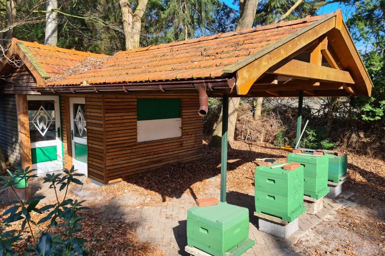 Haustüren aus Holz (Bienenhaus Jeddeloh I)